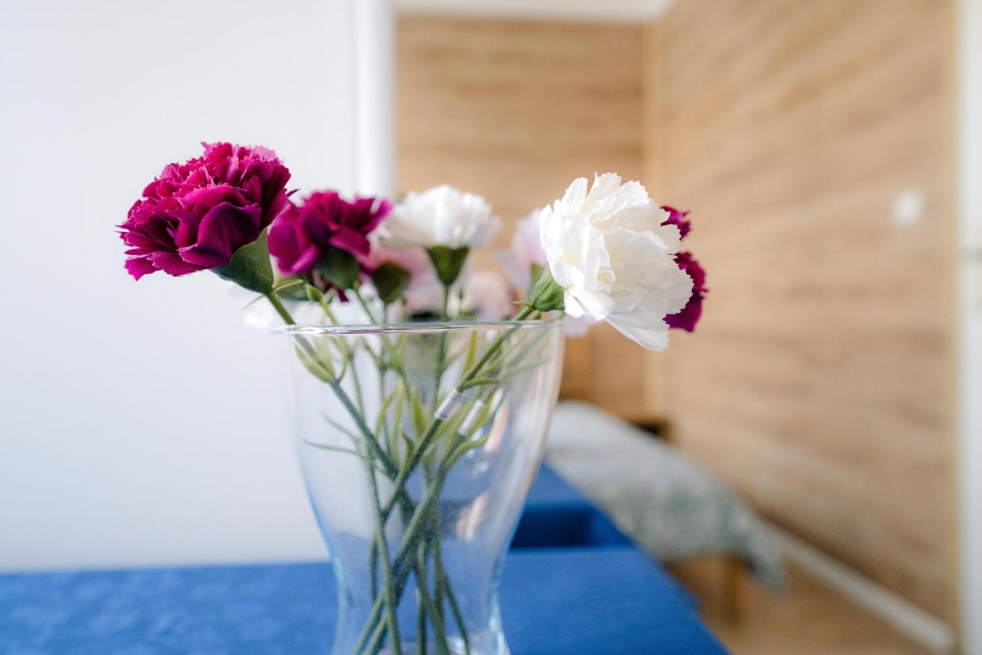 Cosy Balcony Apartment Грудзёндз Экстерьер фото