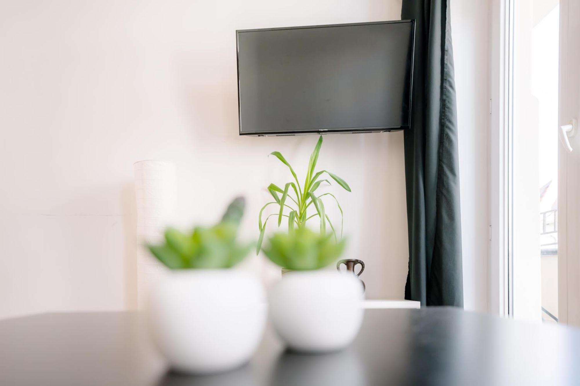 Cosy Balcony Apartment Грудзёндз Экстерьер фото